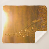 WARM SHOT OF MEADOW GRASS シェルパブランケット (正面(横))