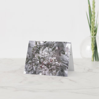 Warm Winter Wishesクリスマスカード シーズンカード