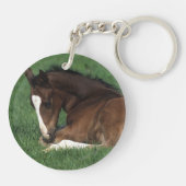 Warmbloodの子馬の置くこと キーホルダー (裏面)