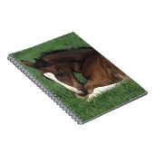 Warmbloodの子馬の置くこと ノートブック (右側)