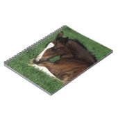 Warmbloodの子馬の置くこと ノートブック (左側)