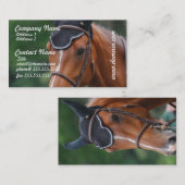 Warmbloodの馬の名刺 名刺 (正面/裏面)