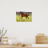 Warmblood Foal Horse Poster Print ポスター (キッチン)