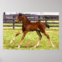 Warmblood Foal Horse Poster Print ポスター