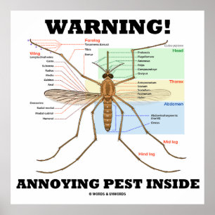Warning! Annoying Pest Inside (Mosquito Anatomy) ポスター