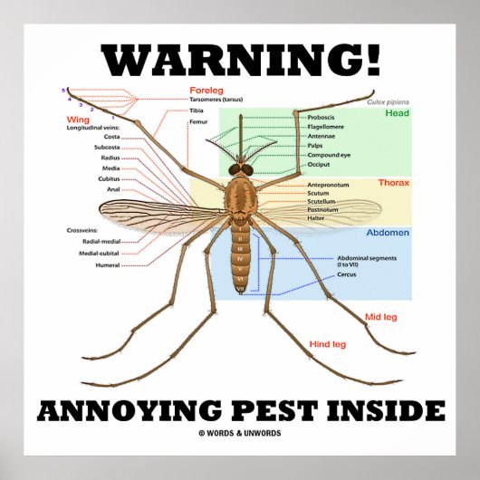 Warning! Annoying Pest Inside (Mosquito Anatomy) ポスター (正面)