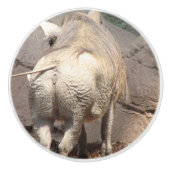 Warthog セラミックノブ (正面)