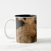 warthogsの鼻のOxpecker、Isimangaliso、 ツートーンマグカップ (左)