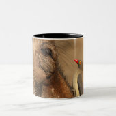 warthogsの鼻のOxpecker、Isimangaliso、 ツートーンマグカップ (中央)