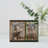 WARTHOGS – 野生動物 ポストカード (スタンド正面)