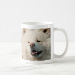 Wasao Mug "FLUFFY FULL" コーヒーマグカップ<br><div class="desc">Busa-Kawaii Akita Inu dog Wasao official designed mug cup.</div>