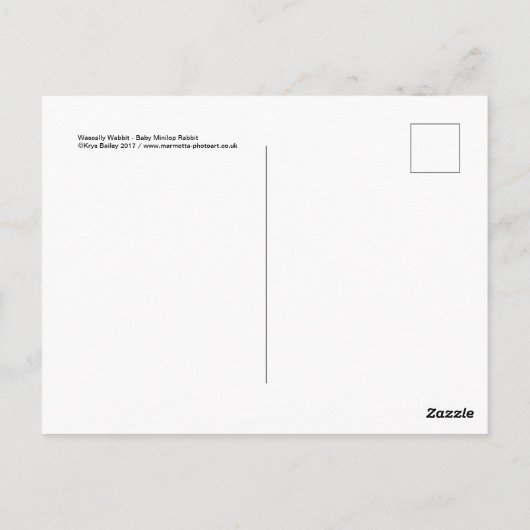 Wascally Wabbitはがき ポストカード (裏面)
