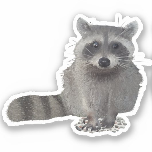 Waschbär  シール (正面)