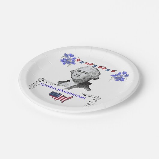 Washigton's Contribution ペーパープレート (アングル)