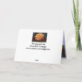 Washington D.C.からの場面 カード (裏面)