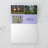 Washington D.C.からの場面 カード (内部)