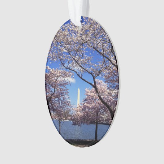 Washington D.C.の写真の桜 オーナメント (正面)
