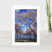 Washington D.C.の桜 カード (裏面)