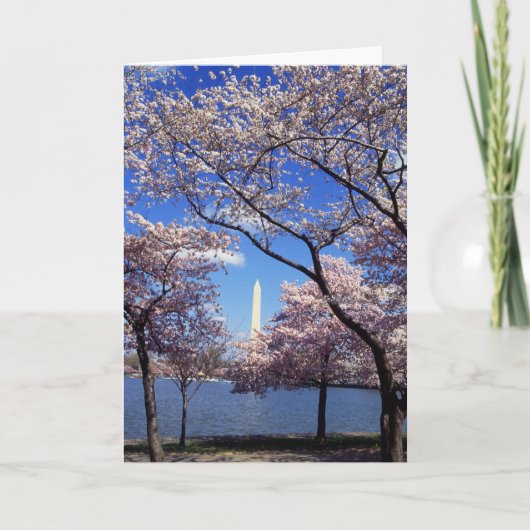Washington D.C.の桜 カード (正面)