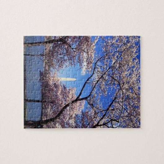 Washington D.C.の桜 ジグソーパズル (横)