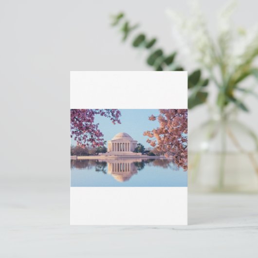 Washington D.C.の桜 ポストカード (スタンド正面)