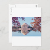 Washington D.C.の桜 ポストカード (正面/裏面)