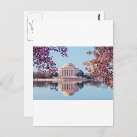 Washington D.C.の桜 ポストカード (正面/裏面)