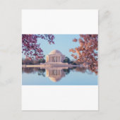 Washington D.C.の桜 ポストカード (正面)