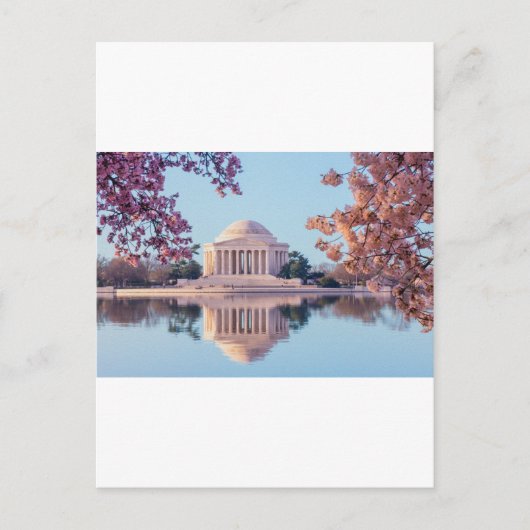 Washington D.C.の桜 ポストカード (正面)