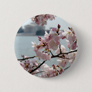 Washington D.C.の桜 缶バッジ