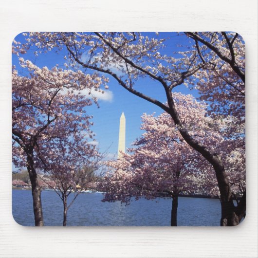 Washington D.C.のmousepadの桜 マウスパッド (正面)