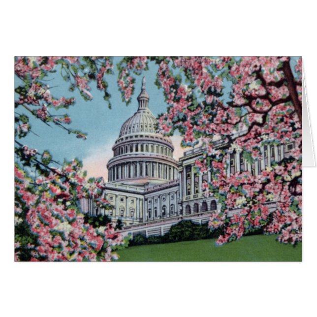 Washington D.C.国会の桜 (正面横)