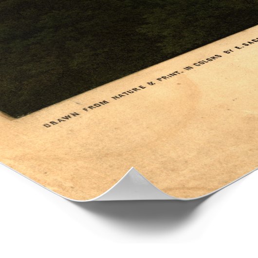 Washington DC 1857 Antique Panoramic Map ポスター (角)