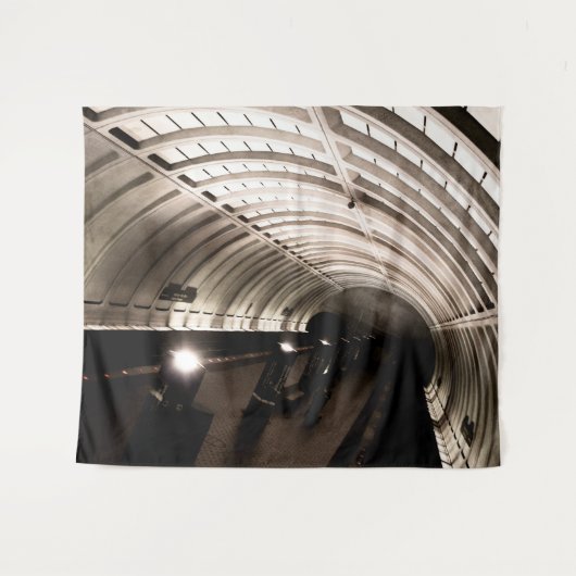 Washington DC Brutalist Architecture タペストリー (正面(横))