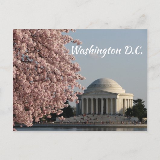 Washington DC in春葉書 ポストカード (正面)