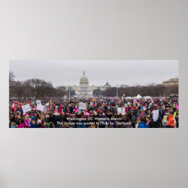 Washington DC Women's March 2017ポスター ポスター