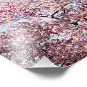 Washington Monument フォトプリント (角)