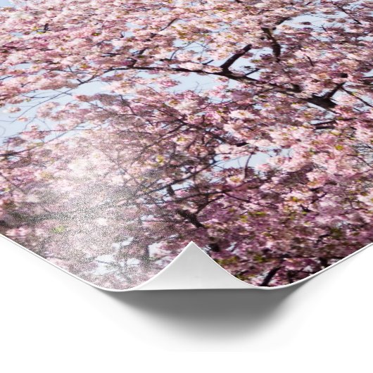 Washington Monument フォトプリント (角)