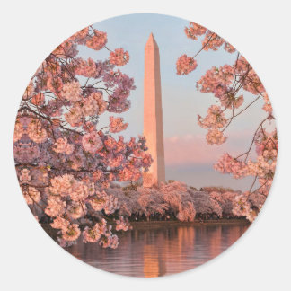 Washington Monument and Cherry Blossoms Sticker ラウンドシール