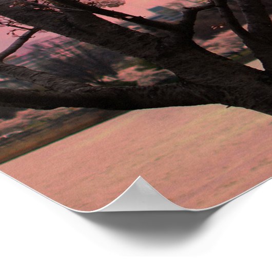 Washington Monument Cherry Blossom Festival ポスター (角)