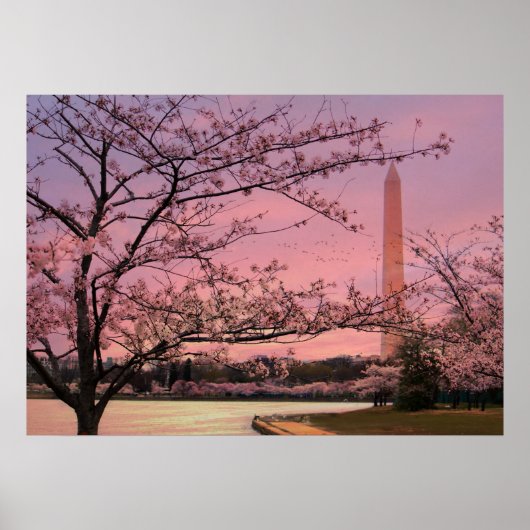 Washington Monument Cherry Blossom Festival ポスター (正面)