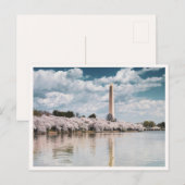Washington Monument Cherry Blossoms DC Photo ポストカード (正面/裏面)