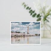 Washington Monument Cherry Blossoms DC Photo ポストカード (スタンド正面)