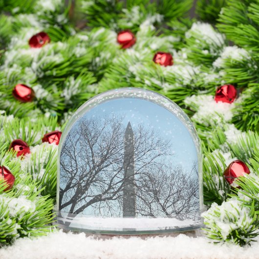 Washington Monument in Winter I Landscape (クリスマス)