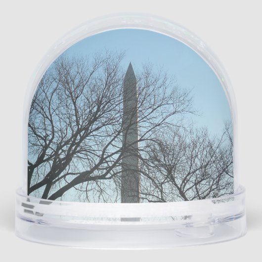 Washington Monument in Winter I Landscape (裏面)