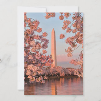 Washington Monument with Cherry Blossoms カード
