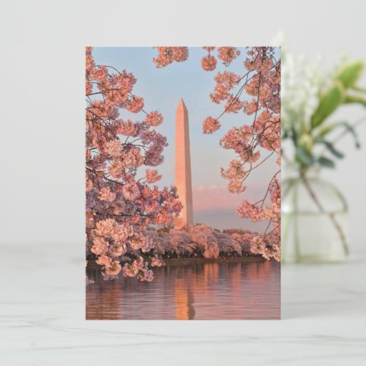 Washington Monument with Cherry Blossoms カード (スタンド正面)