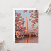 Washington Monument with Cherry Blossoms カード (正面/裏面インサイチュ)