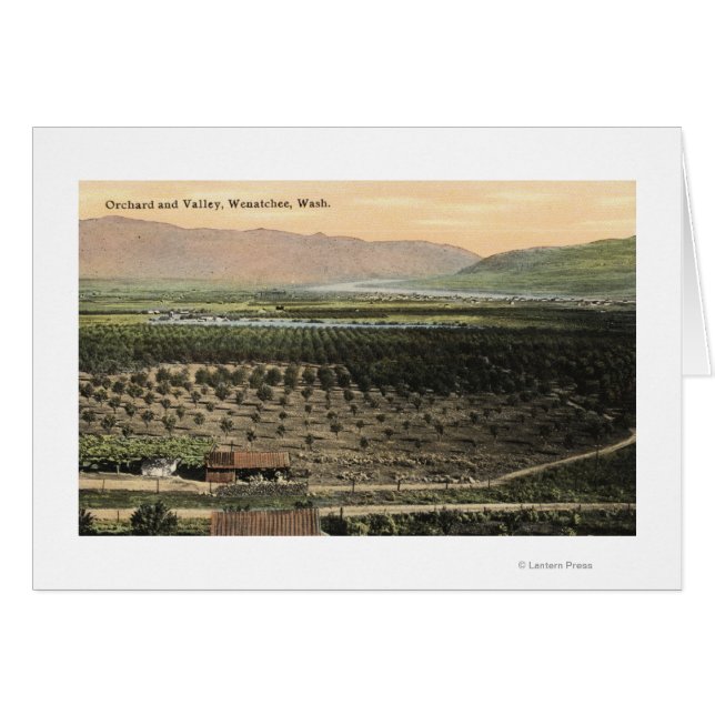 WashingtonAerial View of an Orchard (正面横)