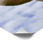 Waslijn met Funny beer die hangt te drogen. ポスター (コーナー)